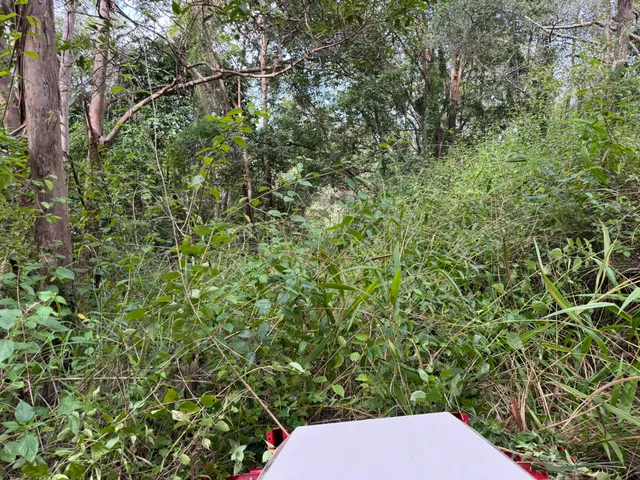 Operator's view from the Ventrac cab pushing the Tough Cut deck into dense lantana scrub, Pullenvale