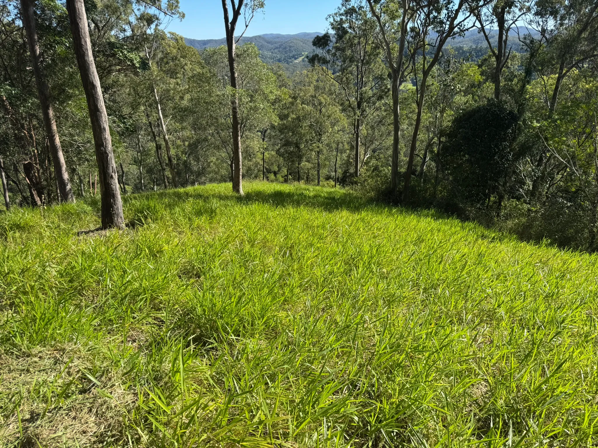 Open grassy acreage slope with distant ranges and blue sky, western Brisbane