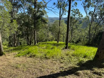 Long rank grass on an open ridge with distant valley views before mowing