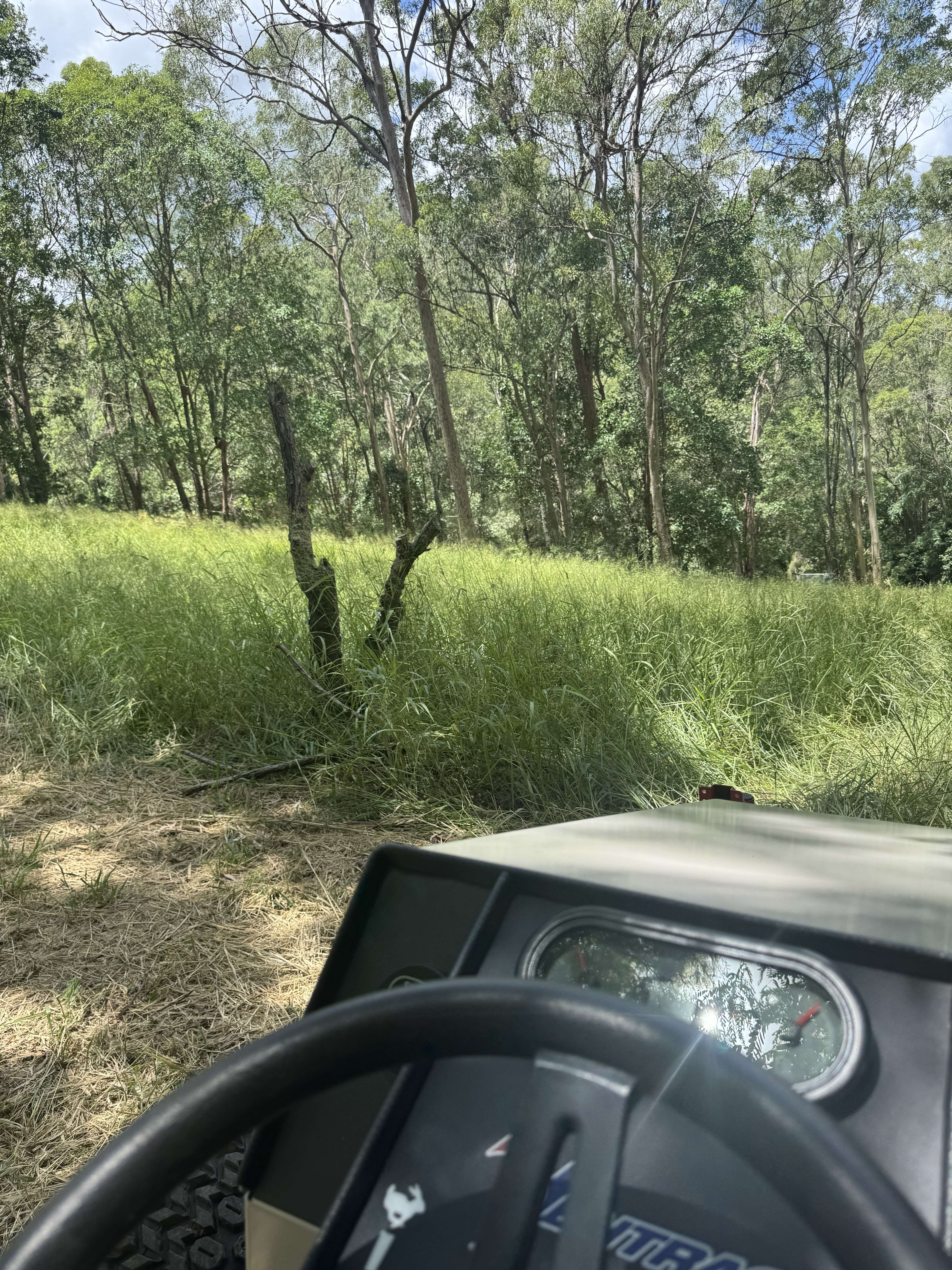 View from Ventrac cab approaching dense long grass on a slope